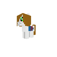 New Pony