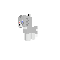New Pony