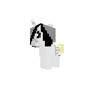 New Pony