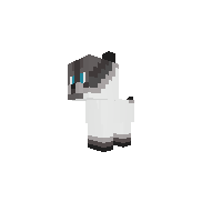 New Pony