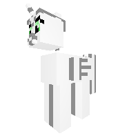 Blank