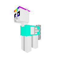 New Pony