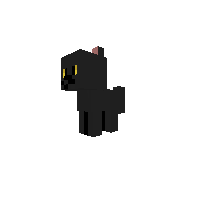 sir meows a lot