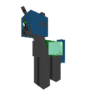 New Pony