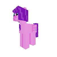 New Pony