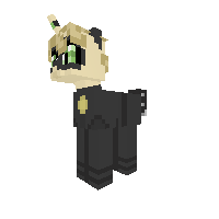 Cat Noir