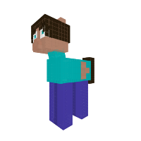 steve