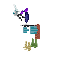 body parts
