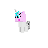 New Pony