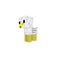 Cute Baby Chicken
