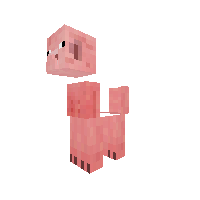 pig  Pony