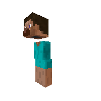 steve  Pony