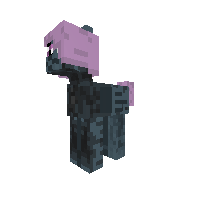 New Pony