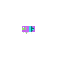 Paraspite