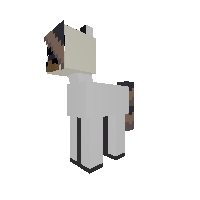 Lovvvvve Horseeee!!!! <3333333