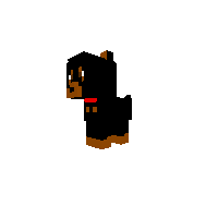 Christie The Doberman