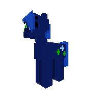New Pony