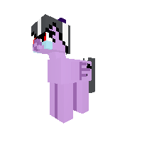 New Pony