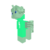 Mint hoodie