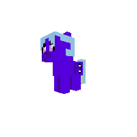 New Pony