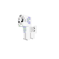 New Pony