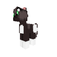 New Pony