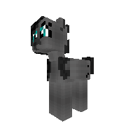 New Pony