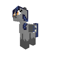 New Pony