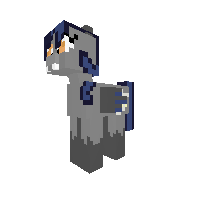 New Pony