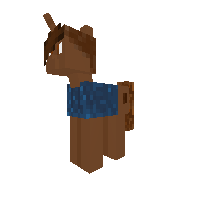 cocoa bean