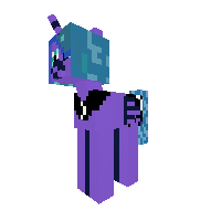 New Pony