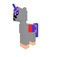 New Pony