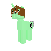 New Pony