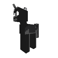The Pony Of Shadows