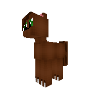 New Pony