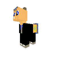 New Pony