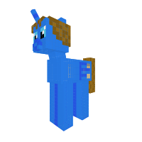 New Pony