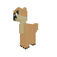 New Pony