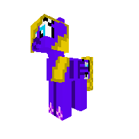 New Pony