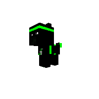 lil green ninja pony