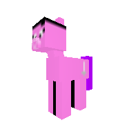 New Pony