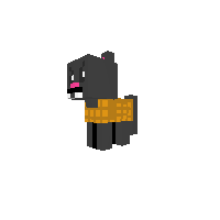tac nyan