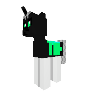 New Pony