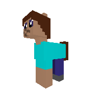 Steve