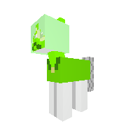 New Pony