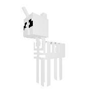 Skeleton