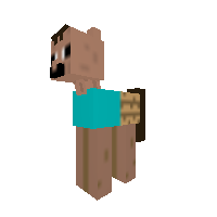 Pony Steve