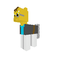 New Pony