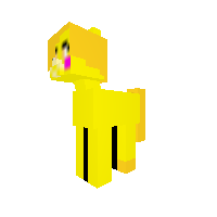 New Pony