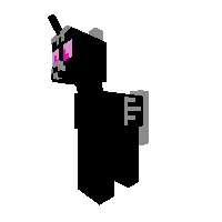 enderpony
